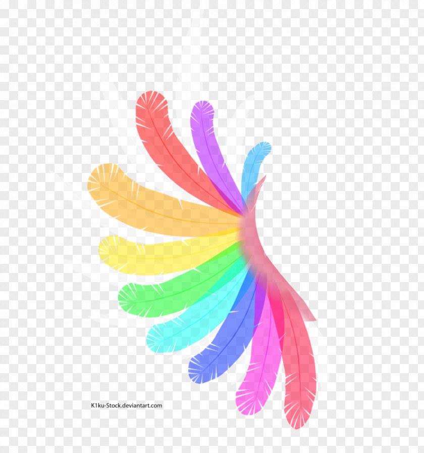 Rainbow Background Desktop Wallpaper PNG