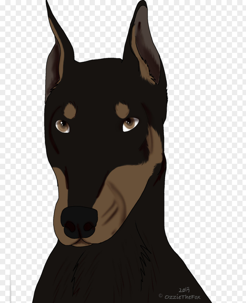 Catnip Dobermann Australian Kelpie Dog Breed Pinscher Whiskers PNG