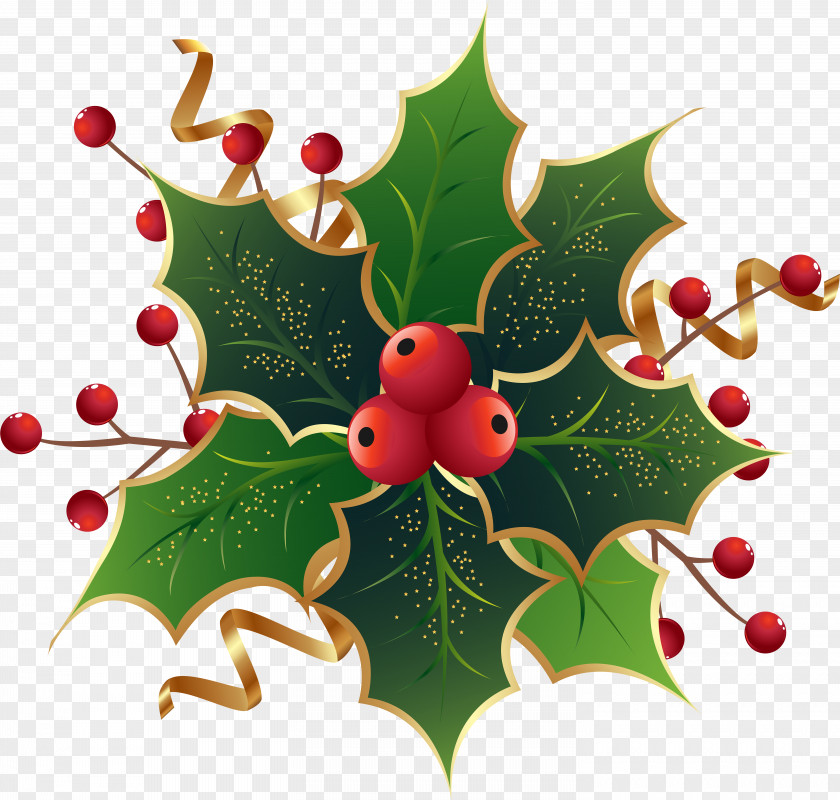 Epiphany Holiday Christmas Clip Art Day Common Holly Mistletoe PNG