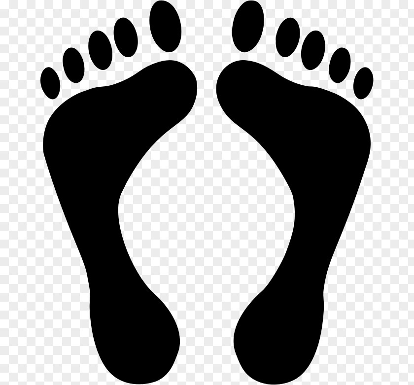 Footprints Clipart Footprint Clip Art PNG