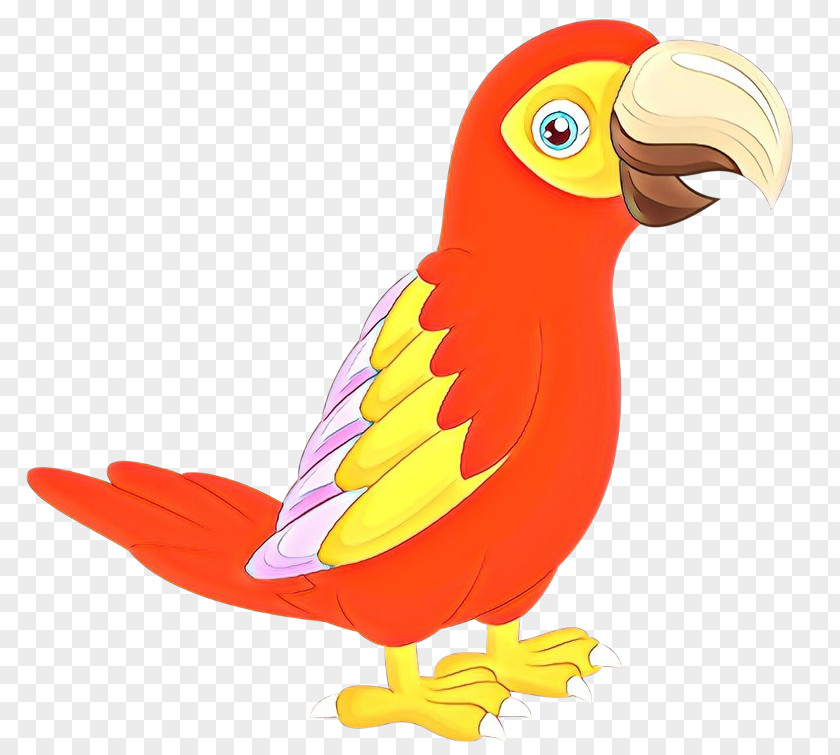 Macaw Beak Feather Cartoon Animal PNG