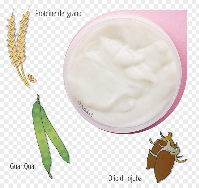 Pseudoginseng Cosmetics Hair Conditioner Ginsenoside Ginseng Food PNG