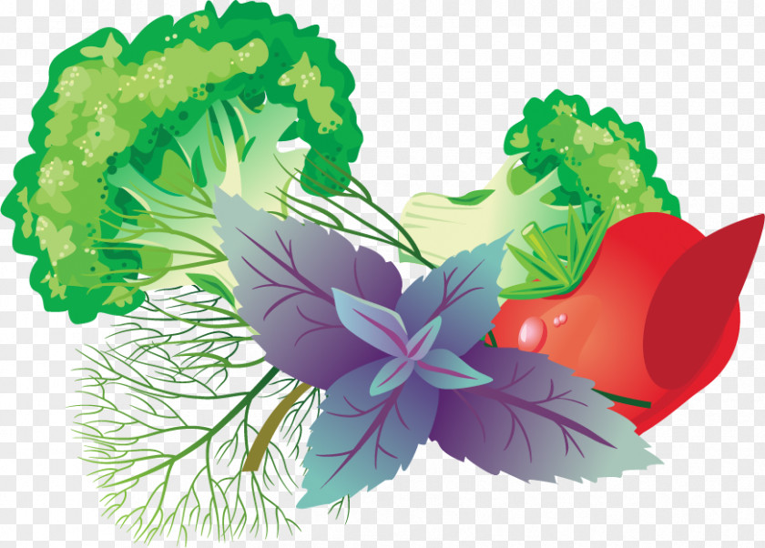 Vegetables Vector Material Adobe Illustrator PNG