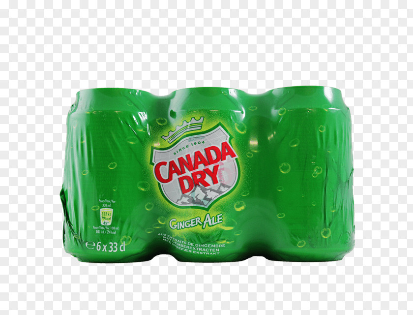 Dry Ginger Fizzy Drinks Coca-Cola Canada PNG