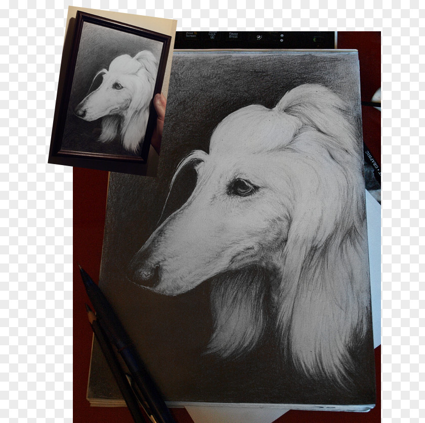 Eurasian Bullfinch Saluki Afghan Hound Borzoi Dog Breed Painting PNG