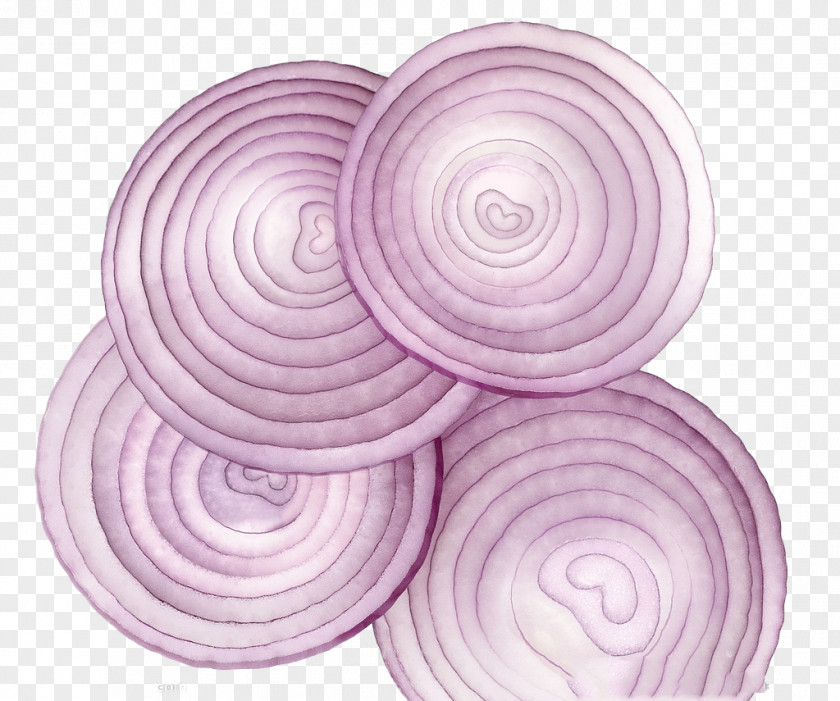 Hand Painted Onion Texture Scrambled Eggs Stir Frying Food Ingredient PNG