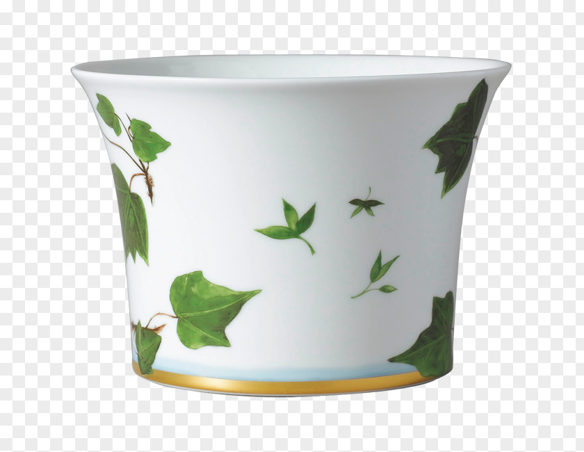 Mug Cup Flowerpot Tableware Raynaud Syndrome PNG