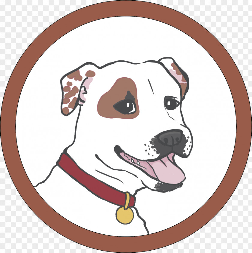 Puppy Dog Breed Dogo Argentino The Stay Clip Art PNG