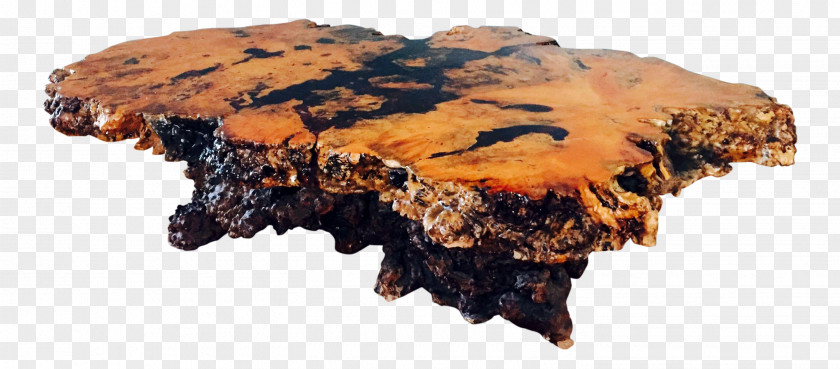 Table Coffee Tables Live Edge Burl Furniture PNG