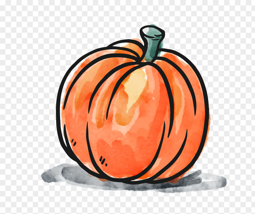 Thanksgiving Pumpkin Shape Jack-o-lantern Illustration PNG
