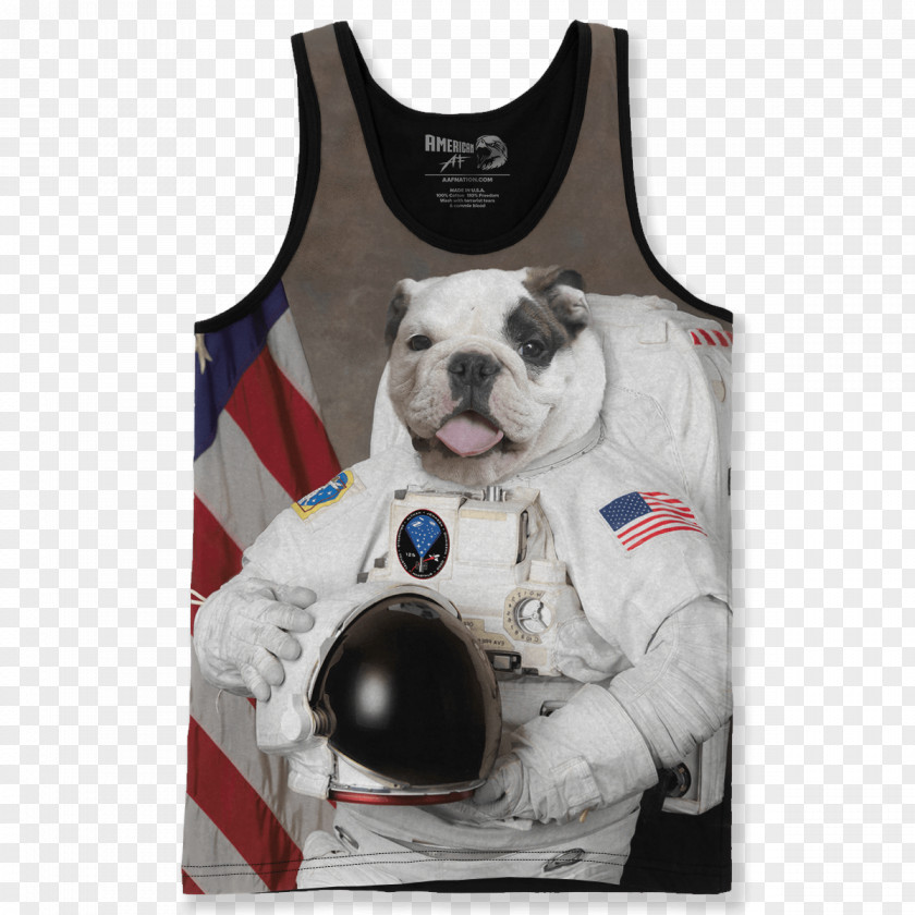 Astronaut NASA Corps Pug Puppy Outer Space PNG