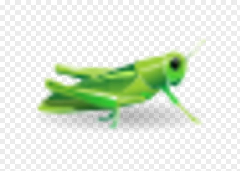 Grasshopper Insect Royalty-free Clip Art PNG