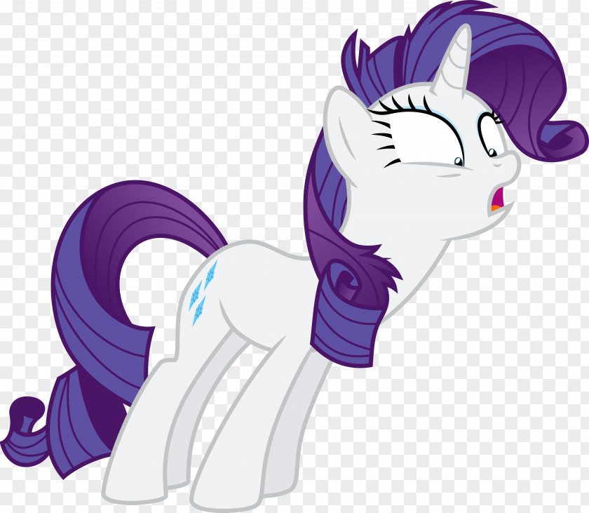 My Little Pony Rarity Pinkie Pie Rainbow Dash Twilight Sparkle PNG