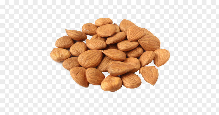 Organic Almonds Apricot Kernel Almond Nut PNG