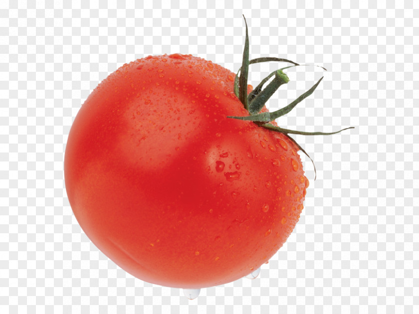 Vegetable Plum Tomato Cherry Salad Fruit PNG