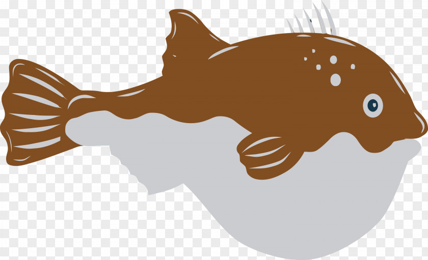 Cartoon Tail Fish Science Biology PNG