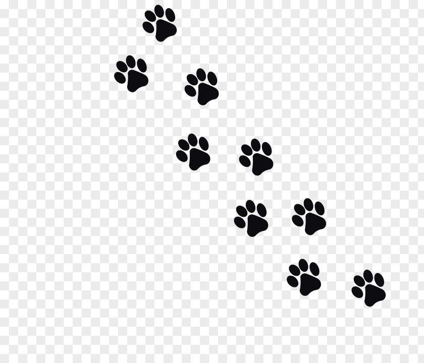 Footprint Cat Animal Track Clip Art PNG