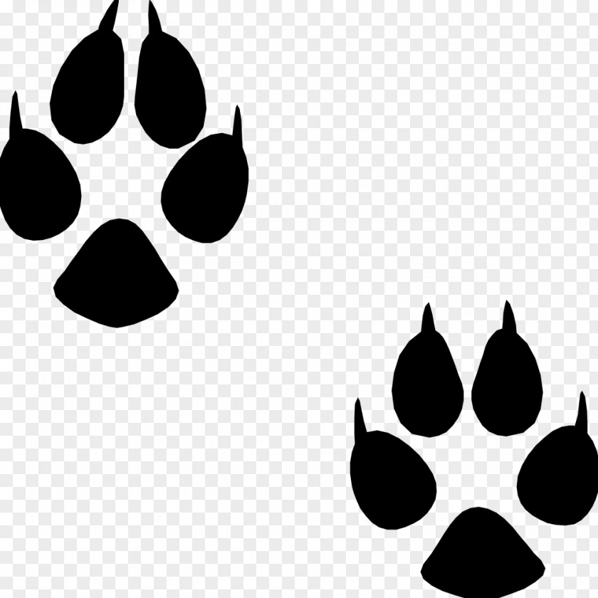 Footprint Dog Puppy Cat Animal Track PNG