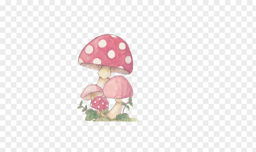 Hand Colored Umbrella Mushroom Pattern Clip Art PNG