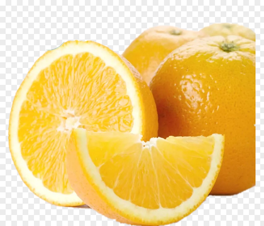 Orange Lemon Mandarin Bitter Tangelo Pomelo PNG