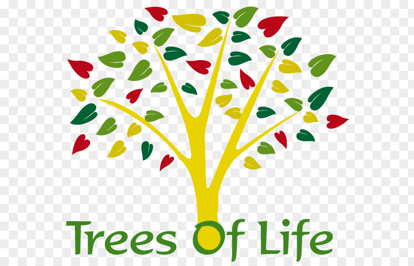 Tree Of Life Family Plants PNG