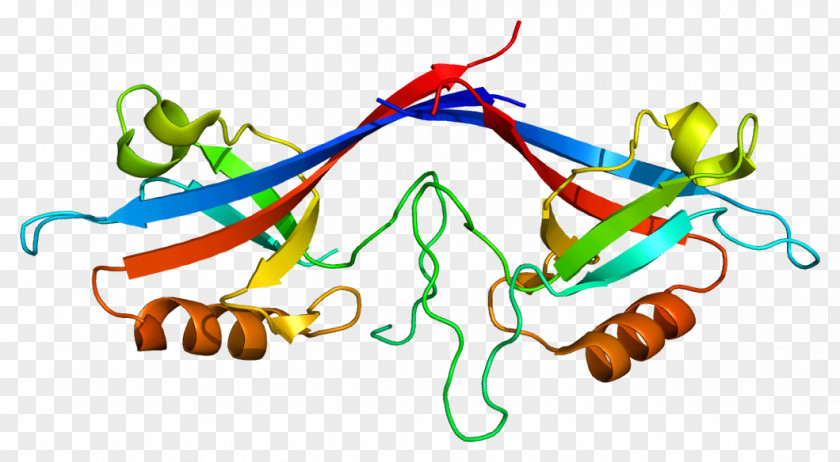 Child Protein Domain Ankyrin Repeat SHANK3 Autism PNG