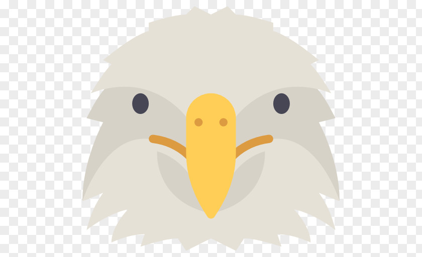 Eagle Duck Flightless Bird Beak Clip Art PNG