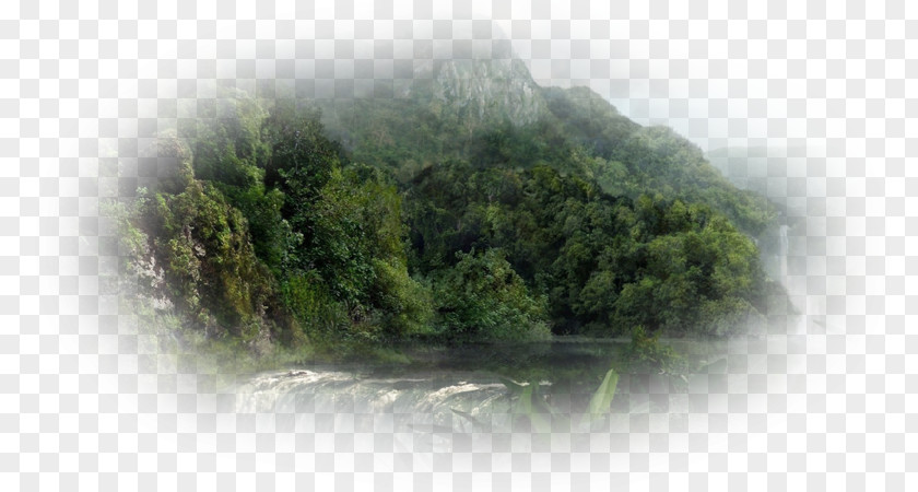 Jungle Water Resources Vegetation Nature Story Hill Station Natural Resource PNG