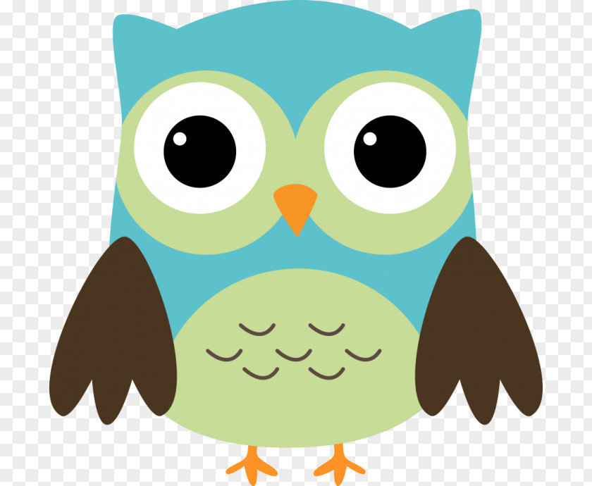 Owl Clip Art Portable Network Graphics Saint Patrick's Day Image PNG