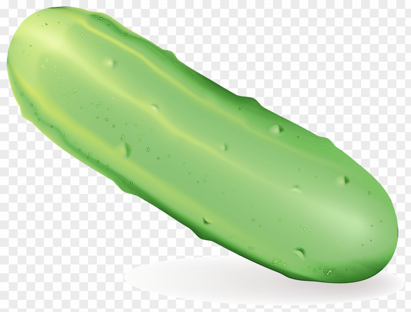 Plant Vegetable Green Cucumber PNG