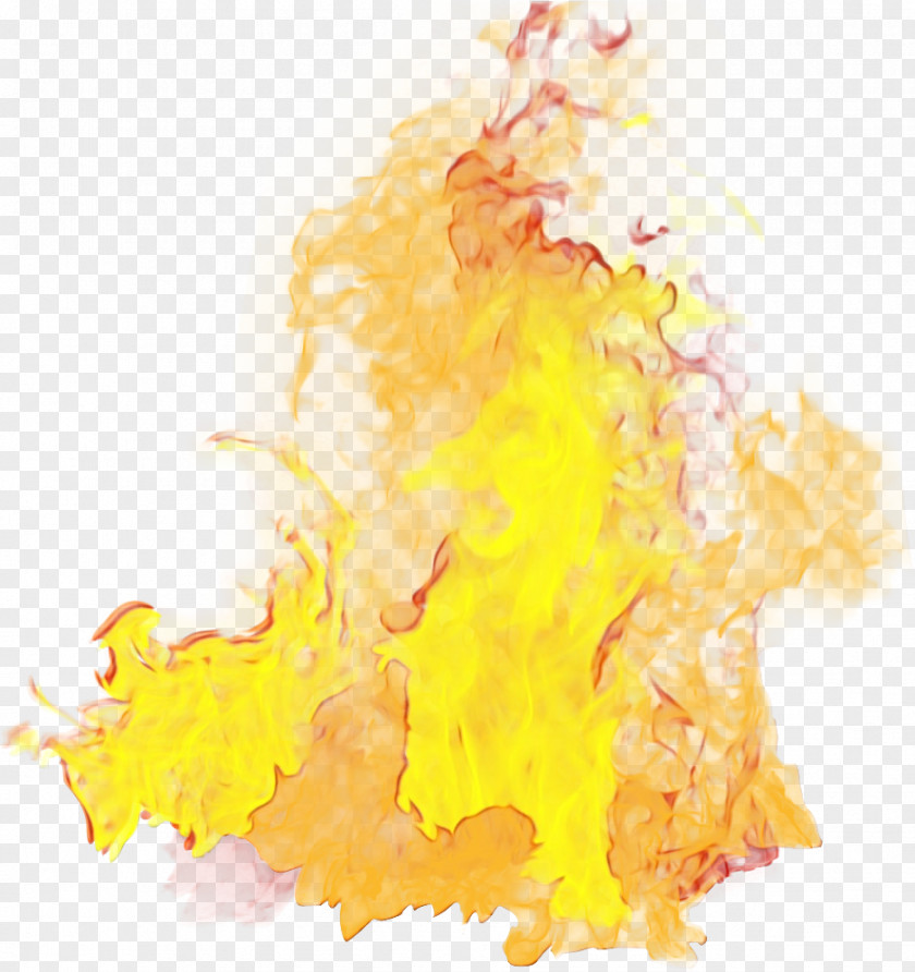 Watercolor Paint Yellow Oil Of Clove Essential Ginger PNG