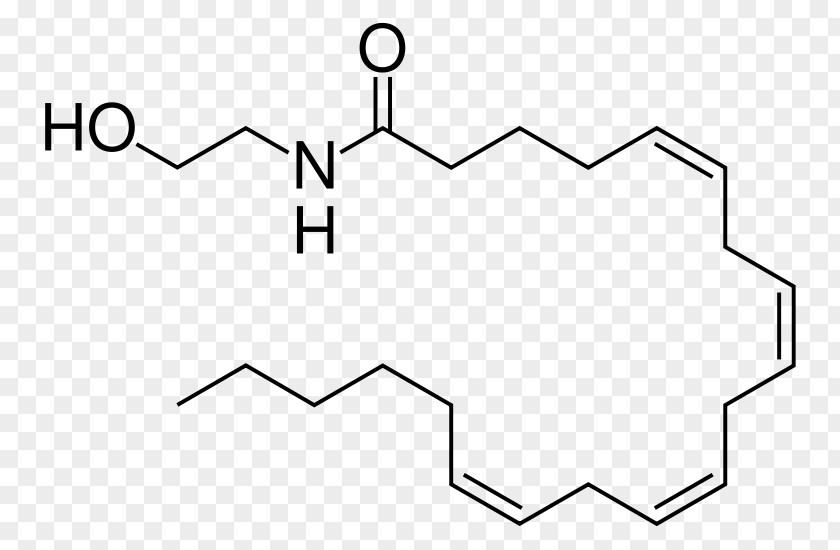 Anandamide Endocannabinoid System Cannabinoid Receptor Tetrahydrocannabinol PNG