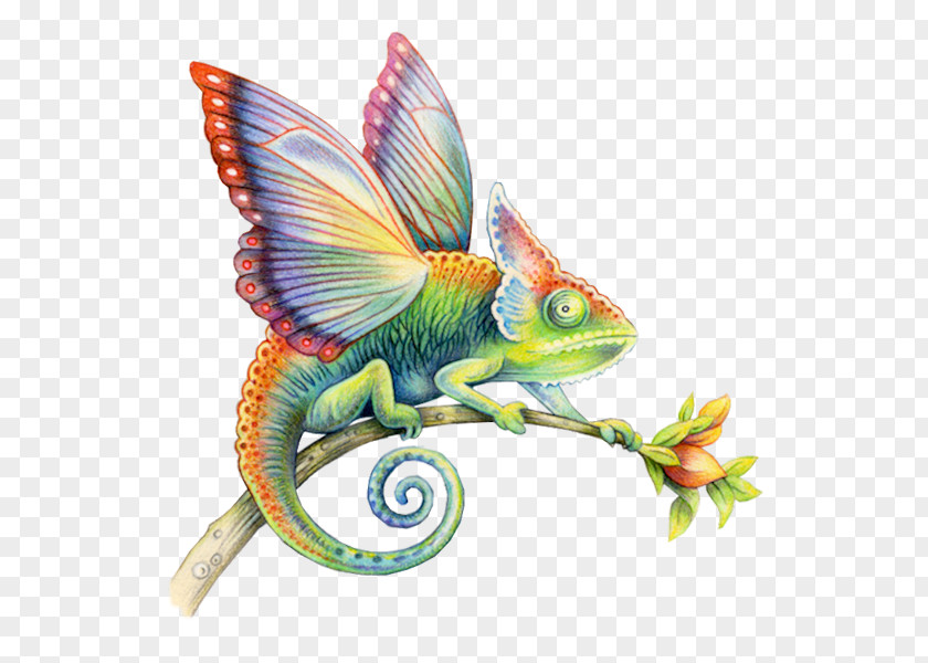 Chameleon Colored Pencil Art Watercolor Painting Illustrator PNG