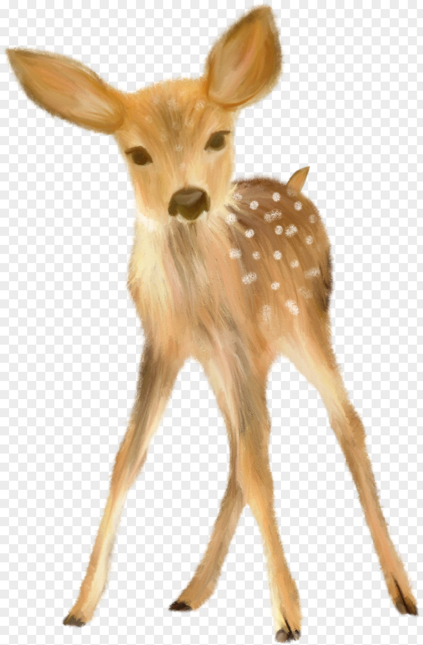 Deer Reindeer Costume Do It Yourself Halloween PNG