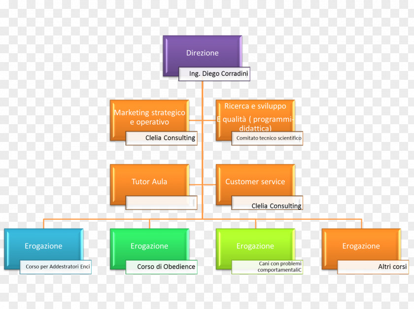 Design Brand Logo Organization PNG