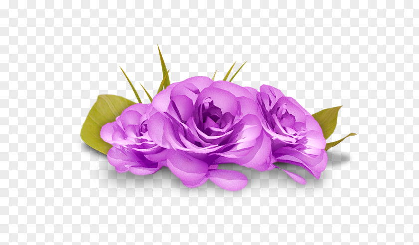 Flower Garden Roses Desktop Wallpaper Clip Art PNG