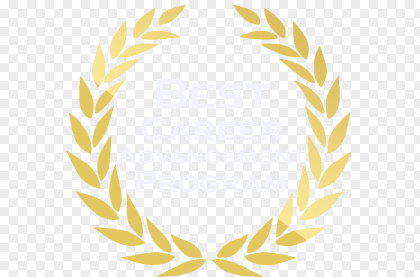 Gold Laurel Wreath Bay Clip Art PNG