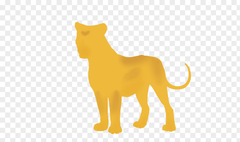 Golden Light Lion Whiskers Tiger Felidae Cat PNG