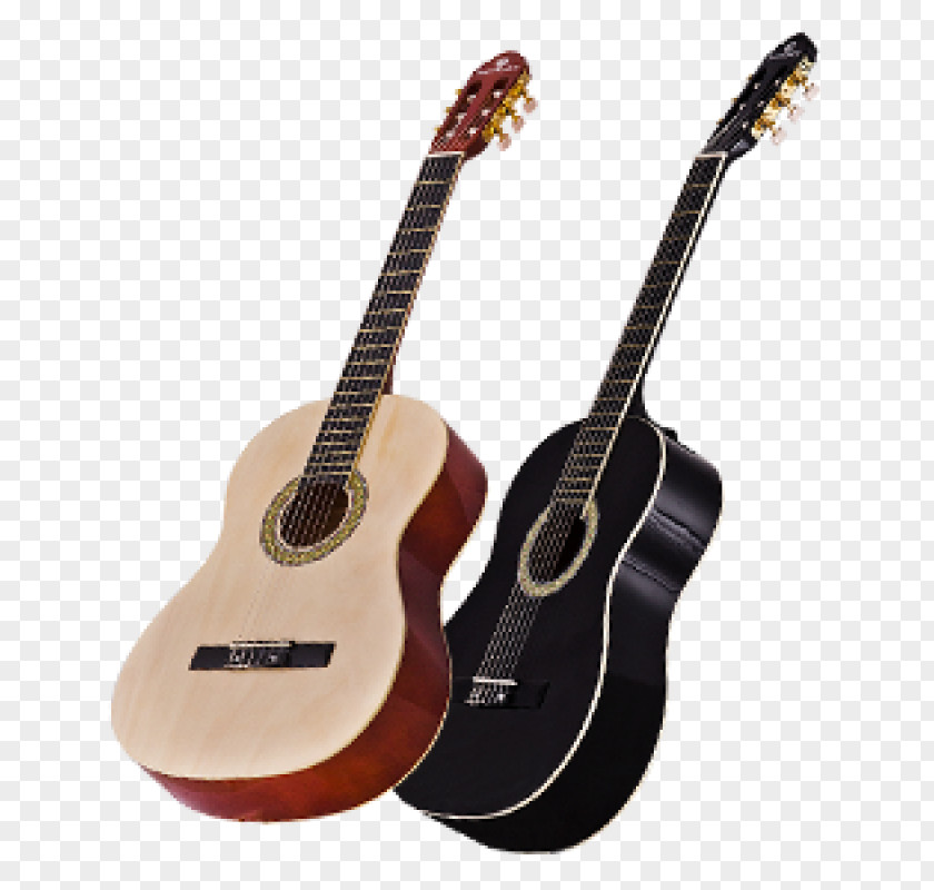 Guitar Harmonics Tagima Dallas Musicalbras Musical Instruments PNG