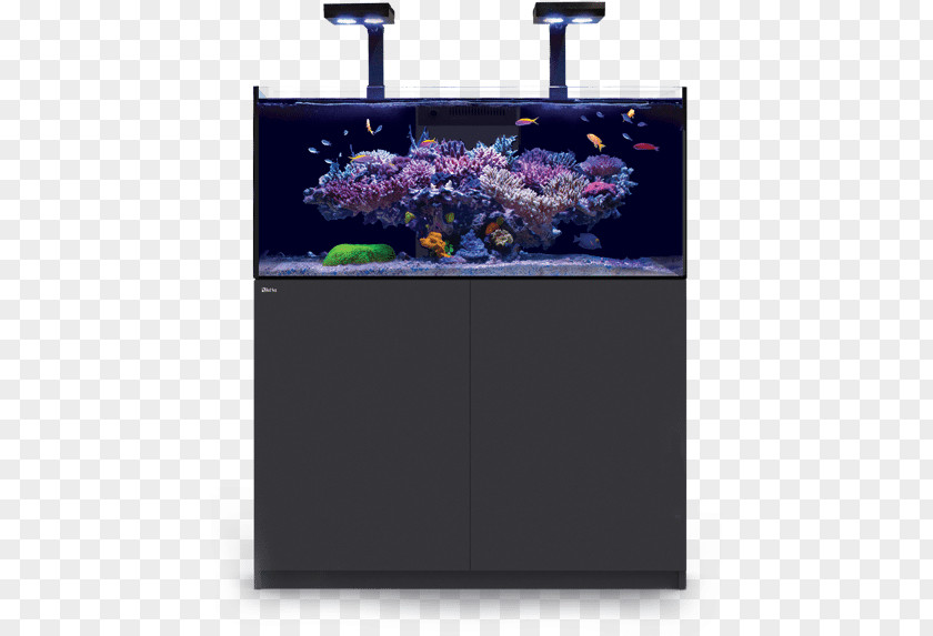 Sea Reef Aquarium Lighting Nutrient Recipe PNG