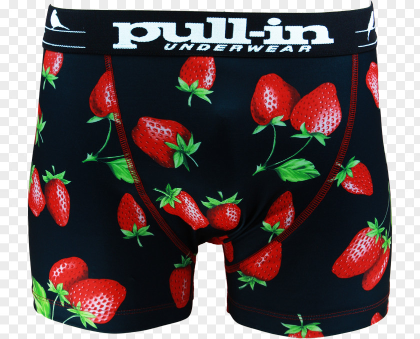 Strawberry Underpants Briefs Shorts Swimsuit PNG
