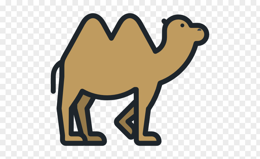 Camel Vector Clip Art PNG