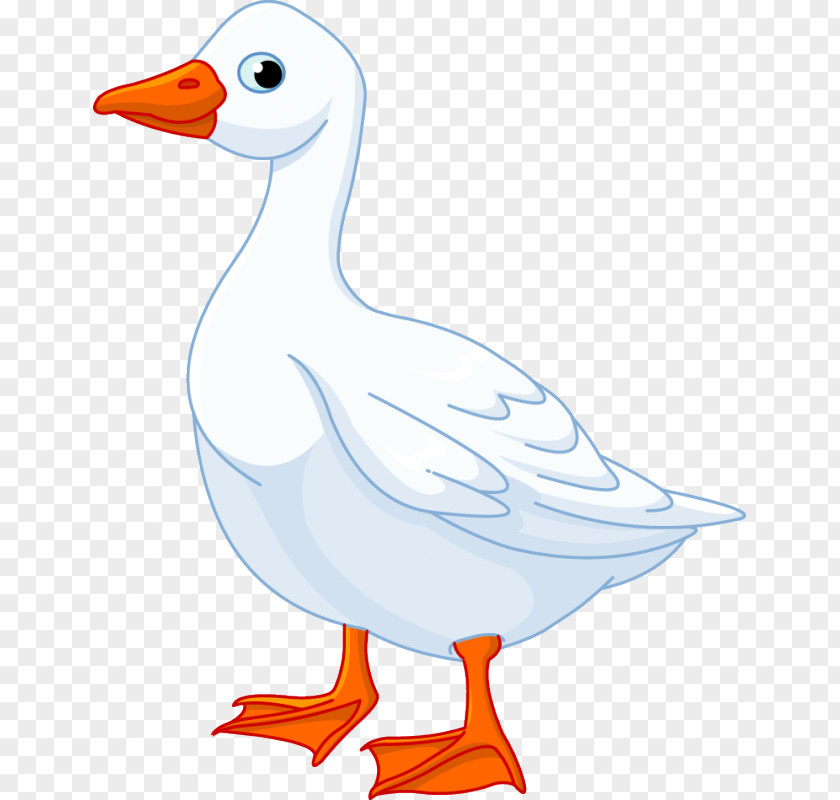 Goose Domestic Clip Art PNG