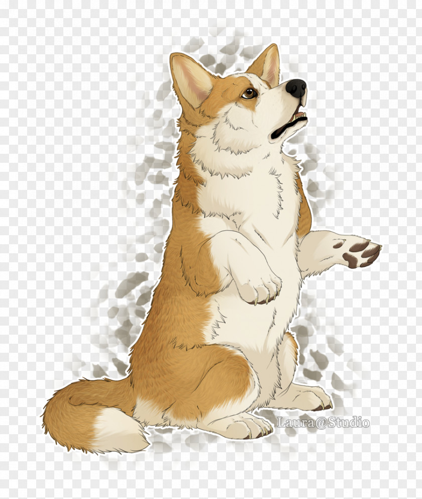 Pembroke Welsh Corgi Puppy Dog Breed Red Fox PNG