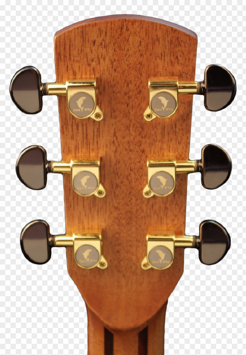 Acoustic Guitar Acoustic-electric Tiple Cutaway PNG