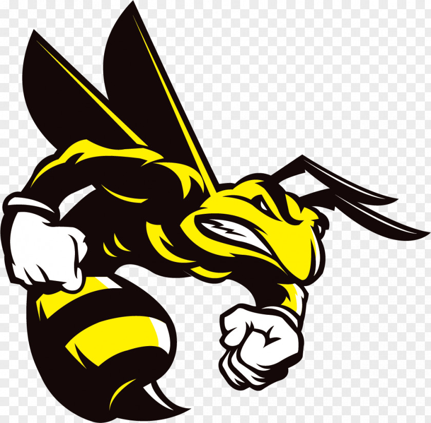 Angry Bee Honey Hornet Insect PNG