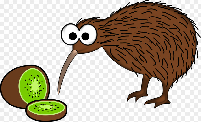 Bird New Zealand Little Spotted Kiwi Common Ostrich PNG