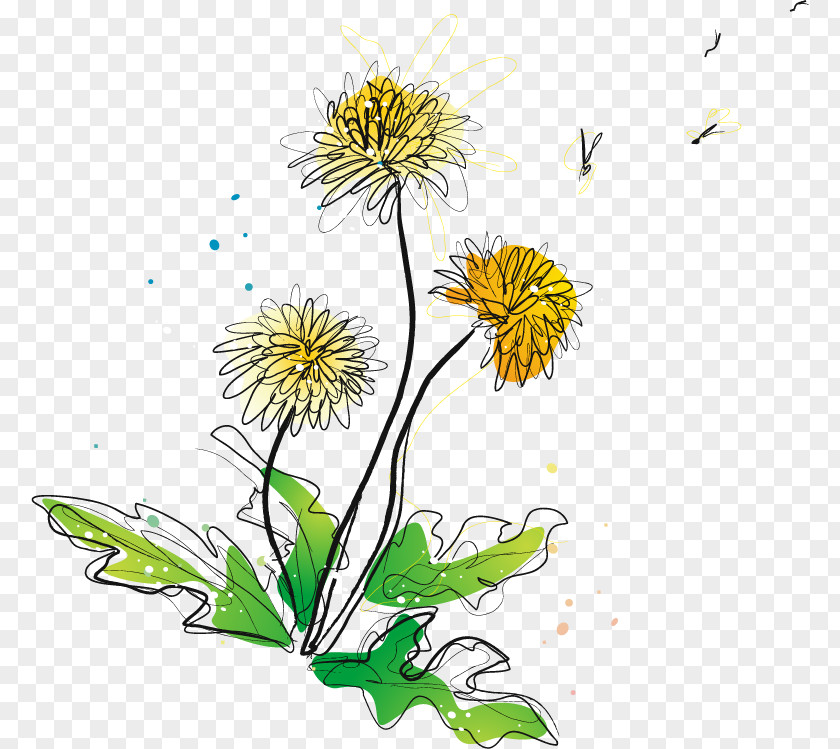Chrysanthemum Vector Material Indicum Adobe Illustrator PNG