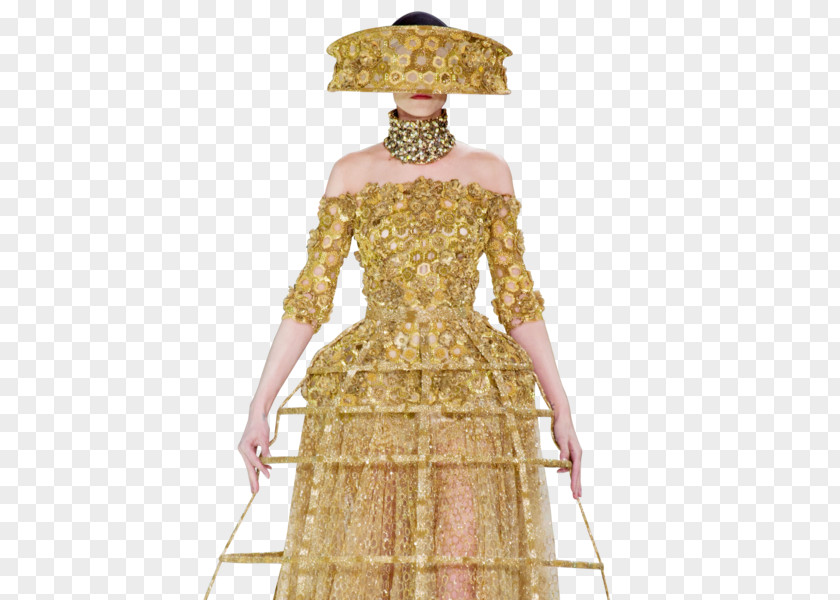 Mcqueen Dress Costume Design Gown Pattern PNG