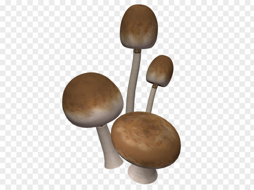 Natural Mushroom Clip Art PNG